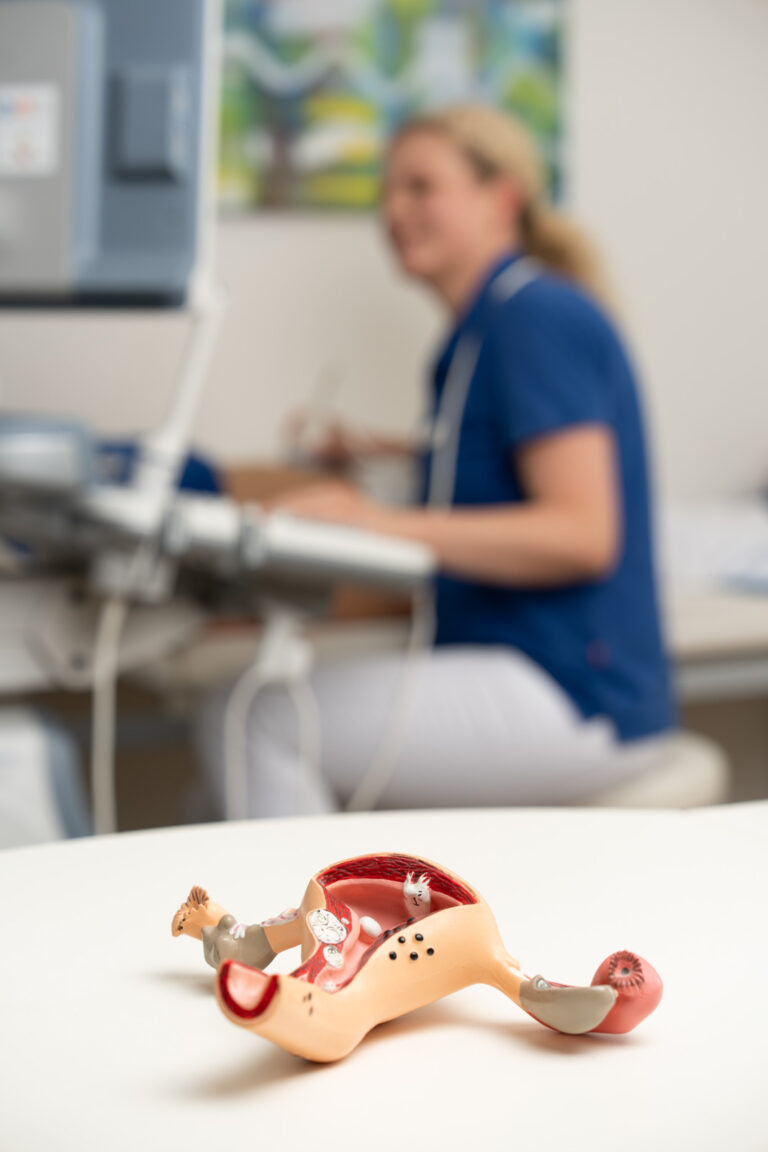 Im Vordergrund des Bildes liegt das Modell eines Uterus, während eine Ultraschalluntersuchung verschwommen im Hintergrund stattfindet.
